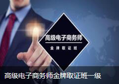高级电子商务师班一级