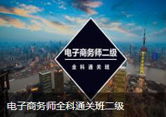 电子商务师全科通关班二级
