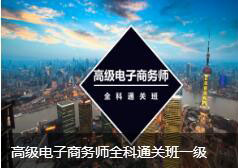 高级电子商务师全科通关班一级