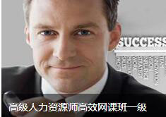 高级人力资源师高效网课班一级
