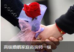 高级婚姻家庭咨询师一级