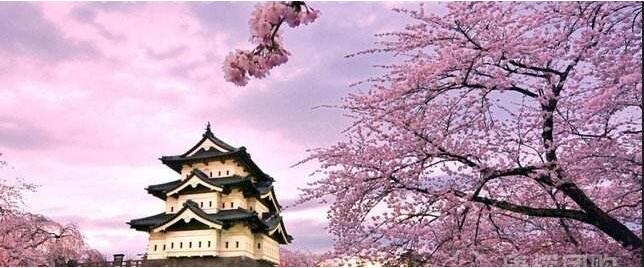 樱花日语教学场景