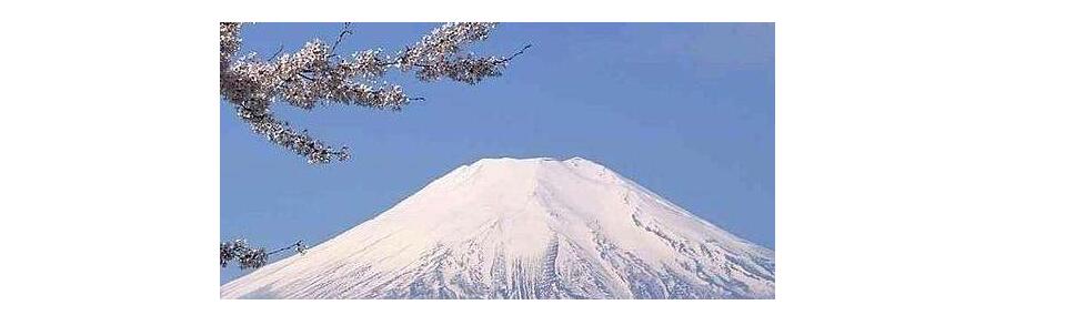 日本留学政策解析