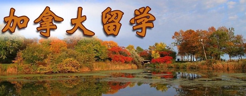 加拿大留学签证流程