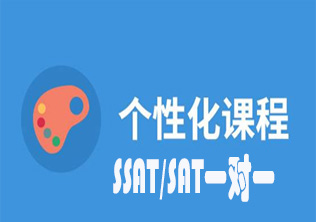 SAT/SSAT1对2