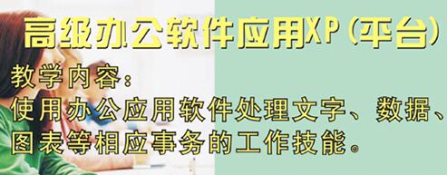 办公软件实操场景
