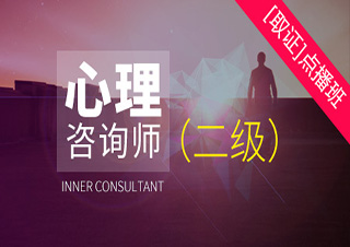 心理咨询师（二级）点播培训班