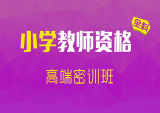 教师资格（小学数学）高端密训培训班