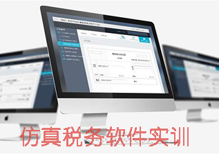仿真税务软件实训