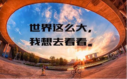 意大利语教学团队