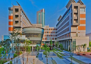 美國紐約州立大學石溪分校