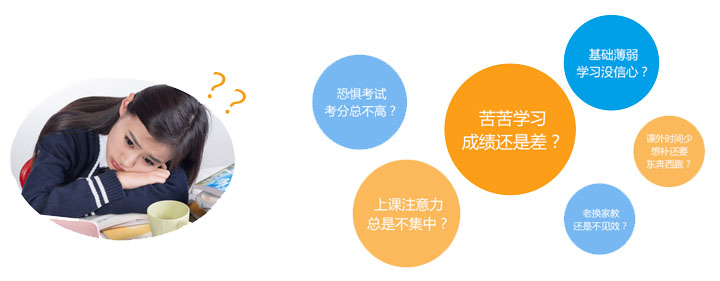 小学全科辅导