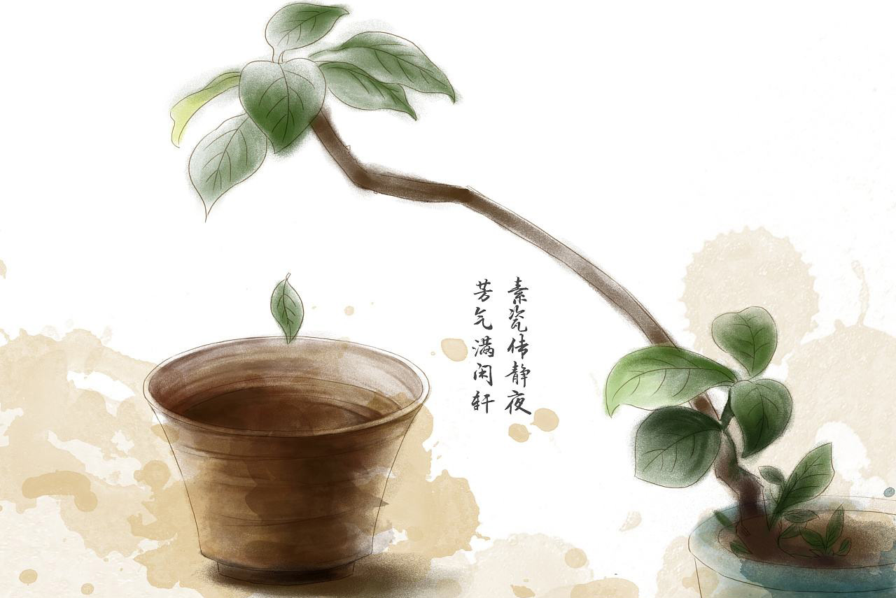 茶艺实操教学