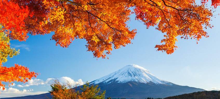 日本研学行程概览