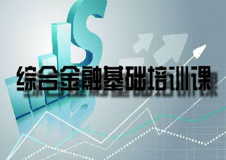 金融學(xué)專(zhuān)業(yè)課程