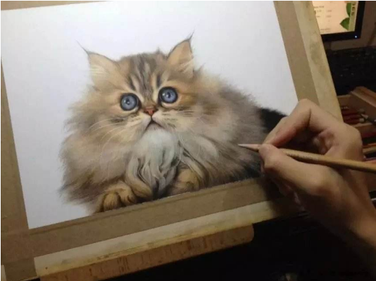 彩铅作品展示
