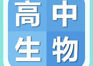 高中生物1对1课程