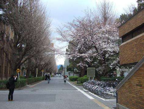 日本留学规划