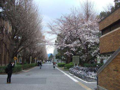 日本名校留学申请项目