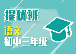 新課標(biāo)教育初三語文在線課程