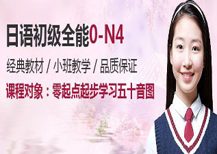 日語(yǔ)O-N4
