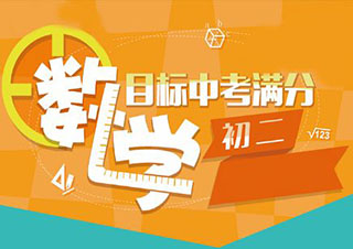 上海新課標(biāo)教育初二數(shù)學(xué)在線輔導(dǎo)