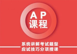 APVIP一对一课程