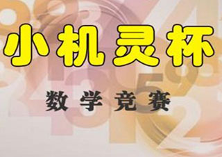 數(shù)學(xué)小機(jī)靈備考班五年級(jí)
