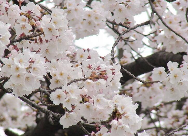 日语烘焙课堂实景