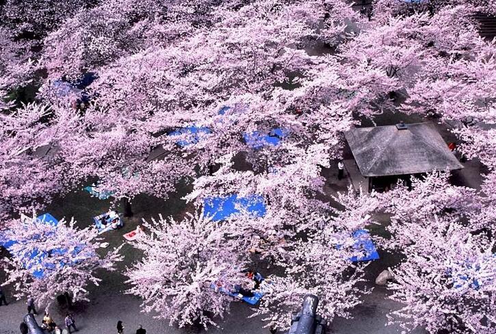 日语情景教学