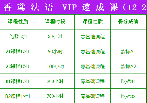 VIP速成法语