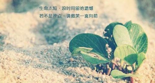 MBA联考课程体系