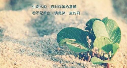 MBA管理类联考系统课程