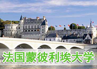法國(guó)蒙彼利埃大學(xué)EMBA