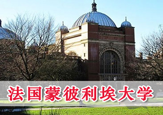 蒙彼利埃大学EDBA项目