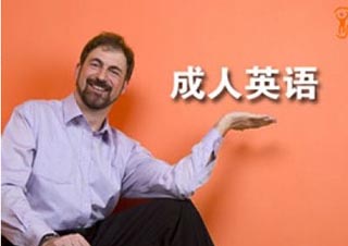 Collection国际课程深度解析