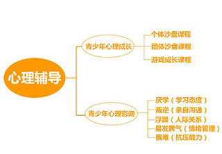 青少儿心理辅导精品课程