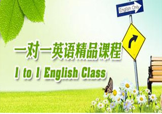 英语1对1课程（VIP）