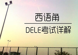 DELE考试培训