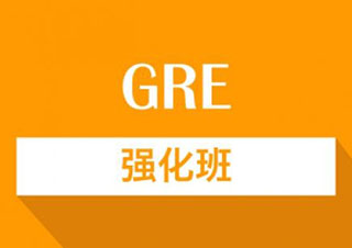 GRE尊贵VIP辅导计划