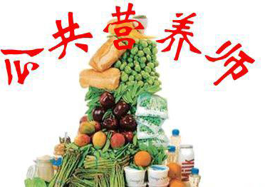 公共营养师实操双证课程