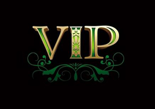 雅思VIP3人系列提升课程