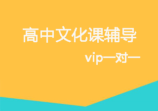 高中文化课辅导VIP一对一