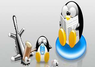 CCNA+MCSE+LINUX