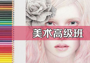 美术高级套餐班