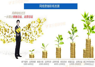 高级网络营销班