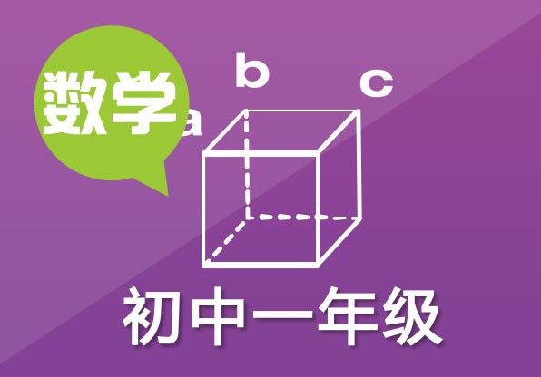 初一学科同步辅导课程