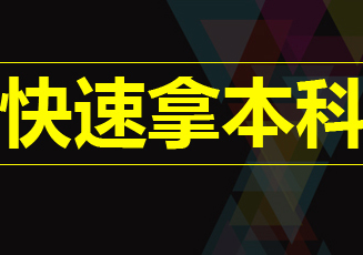金融管理（本科）