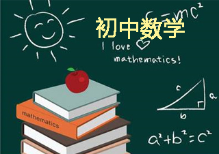 初中一年级数学VIP一对一课程