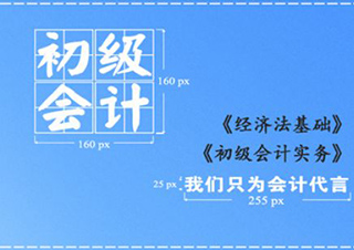 初級(jí)會(huì)計(jì)職稱(chēng)